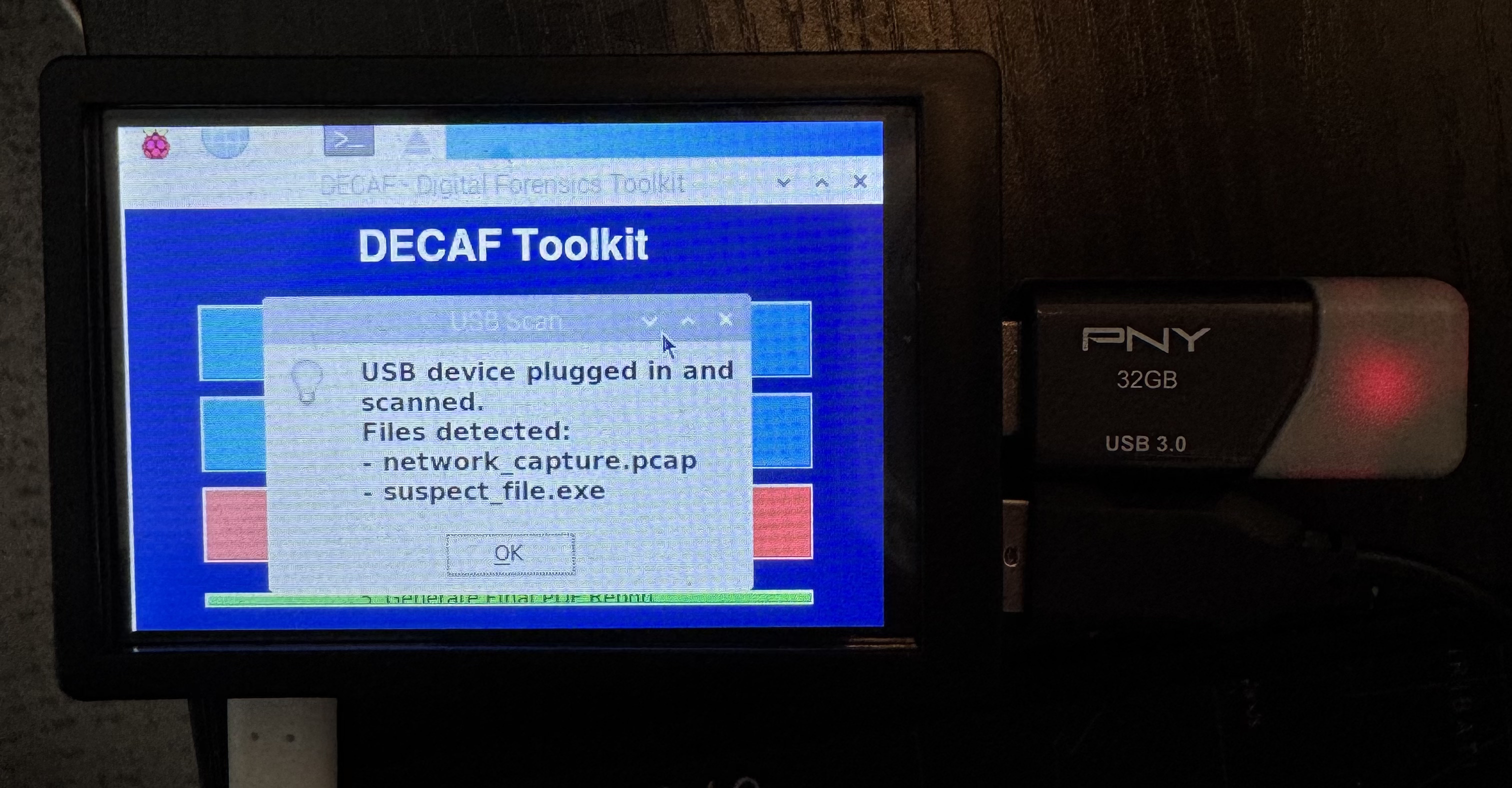 DECAF USB scan results showing detected files